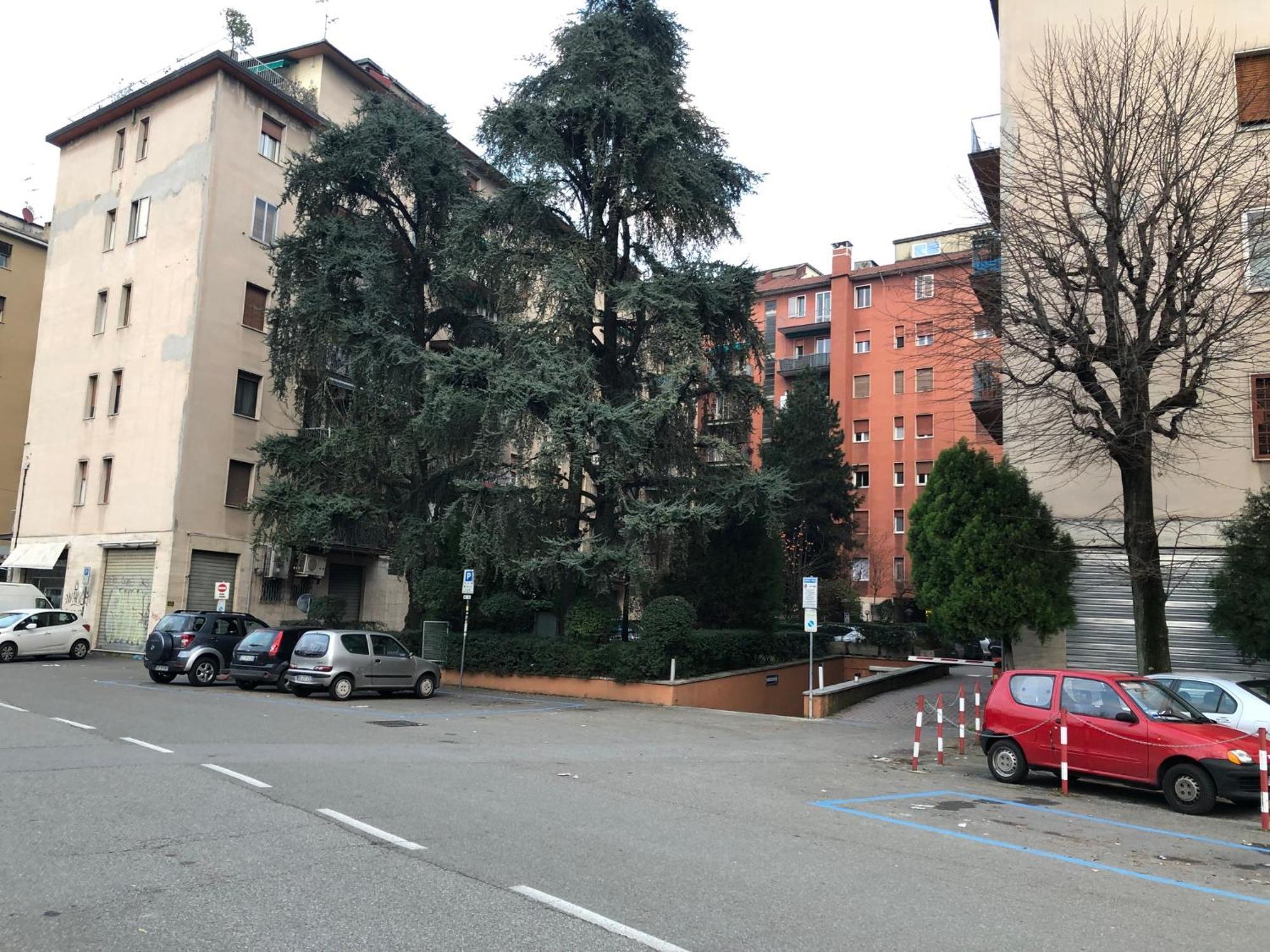 Tra Le Torri B&B - Ampia Stanza Privata In Appartamento Con Bagno Privato Accessibile Da Corridoio Bologna Exterior foto